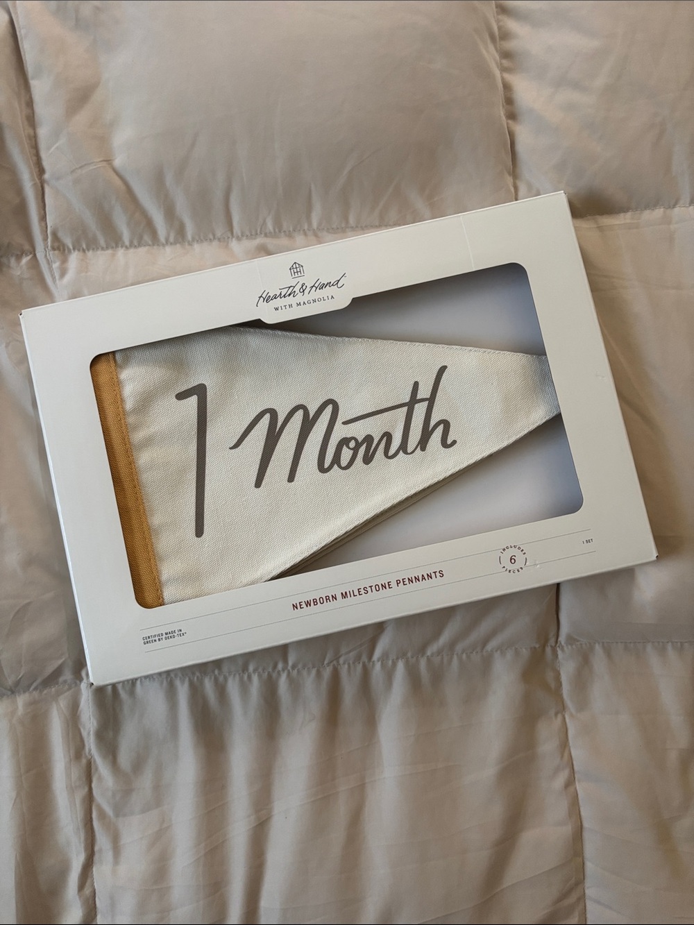 Newborn Baby Maternity Monthly Milestone Banner Pennant Neutral Beige Mustard